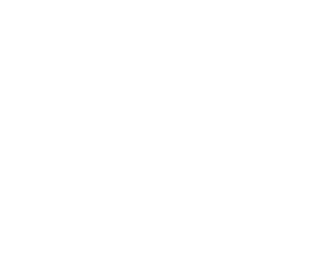 Aldeas Infantiles SOS Galicia
